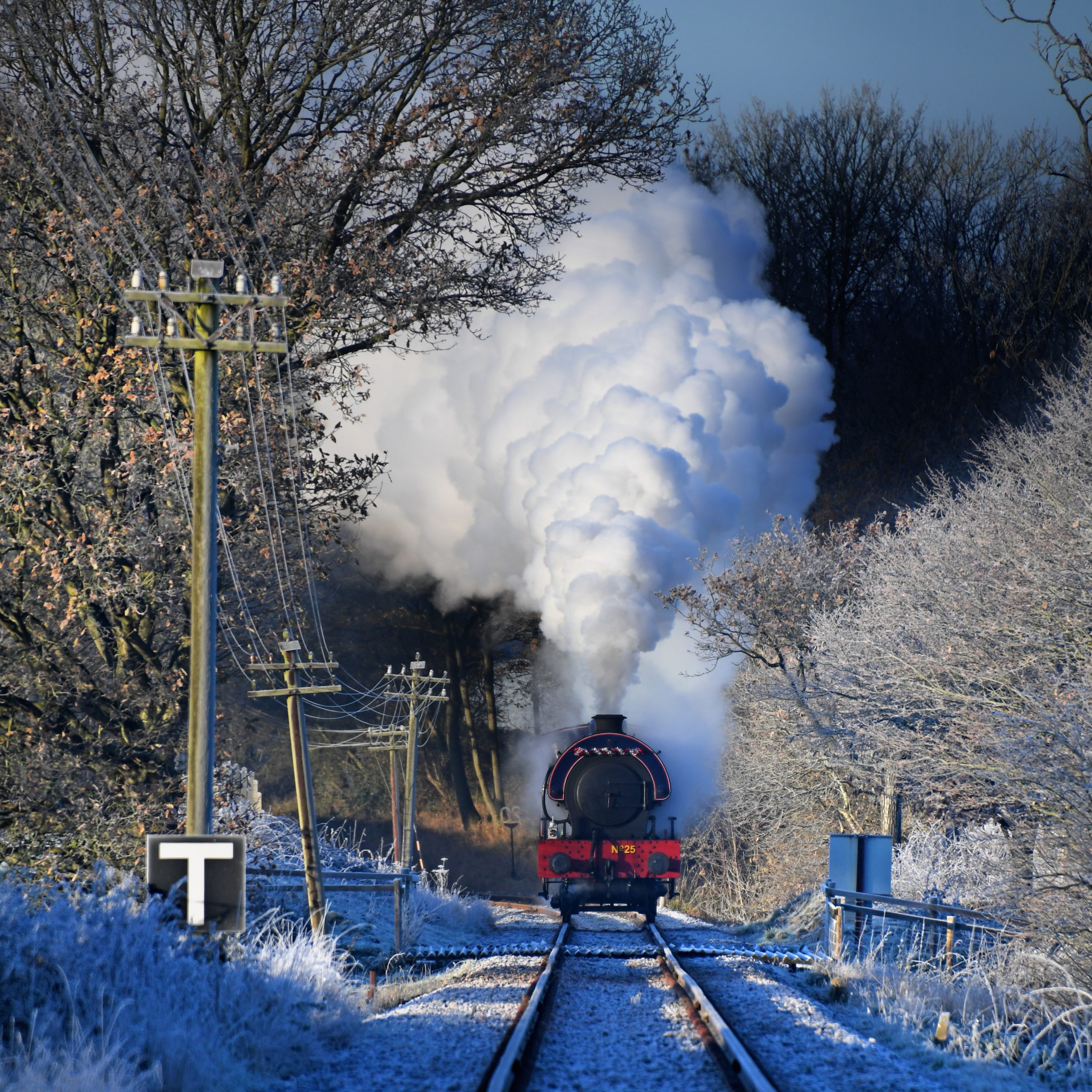 DSC_1181ab