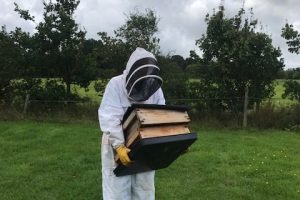 Beekeeper at Bodiam Station gardens