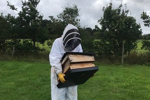Bodiam Beekeeper at work. Photo B Atkins Beekeeper at Bodiam Station gardens