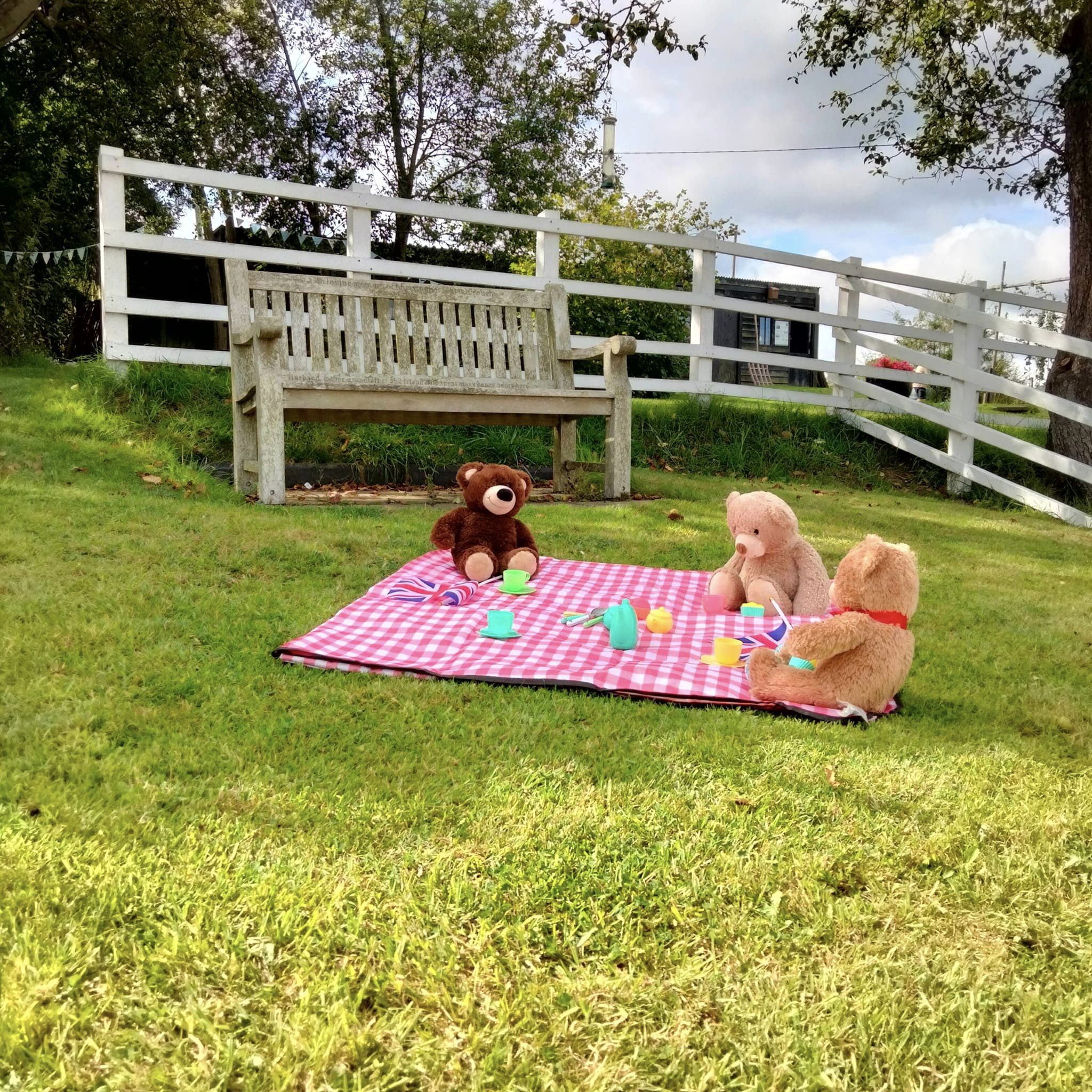 Teddy Bears Picnic at Bodiam. August 2023. Pat King